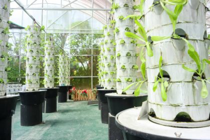 aeroponic gardens